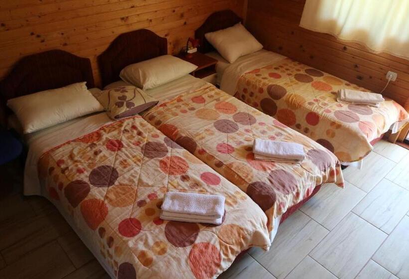 استودیو استاندارد با چشمانداز باغ, Guest House Jadran Pol