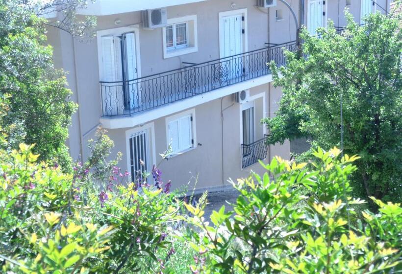 اتاق استاندارد, Angela