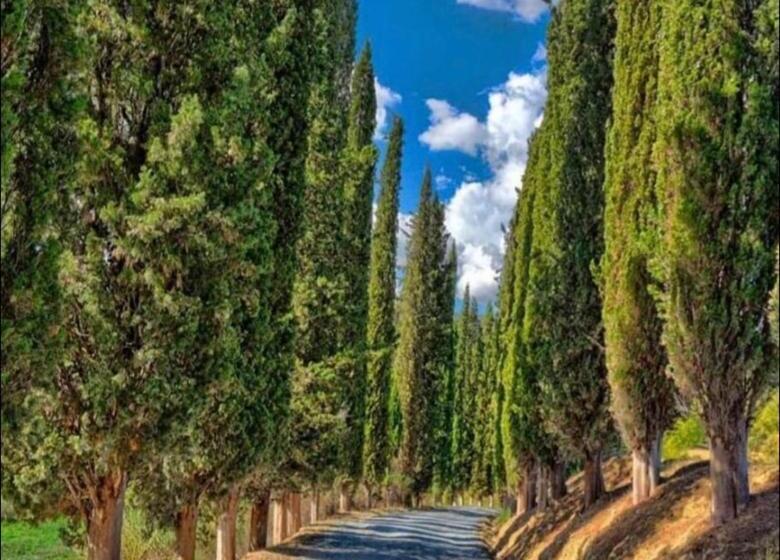 2ベッドルームアパートメント, Agriturismo Fattoria Il Piano Casa Bugno San Gimignano