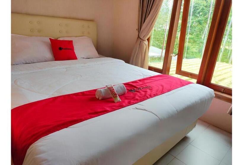 Номер Стандарт, Reddoorz Near Agrowisata Kebun Teh Dieng