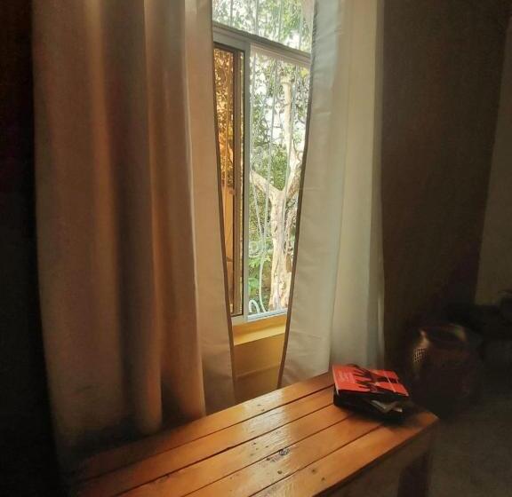 Bahçe Manzaralı 4 kişilik Standart Oda, Tatami Hostel