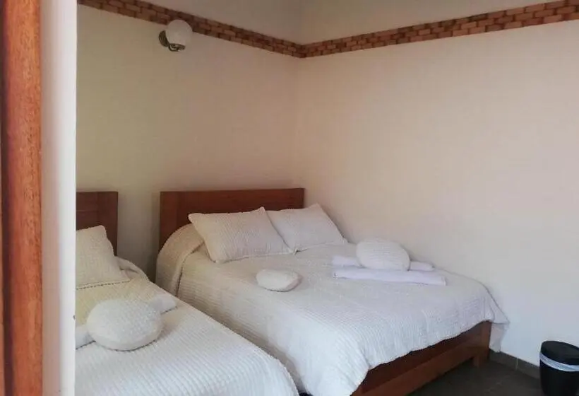 اتاق اکونومی, Casa Lewana