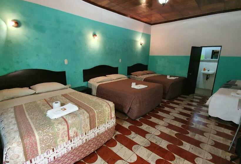 اتاق پریمیوم چهارنفره, Kasa Kamelot Central