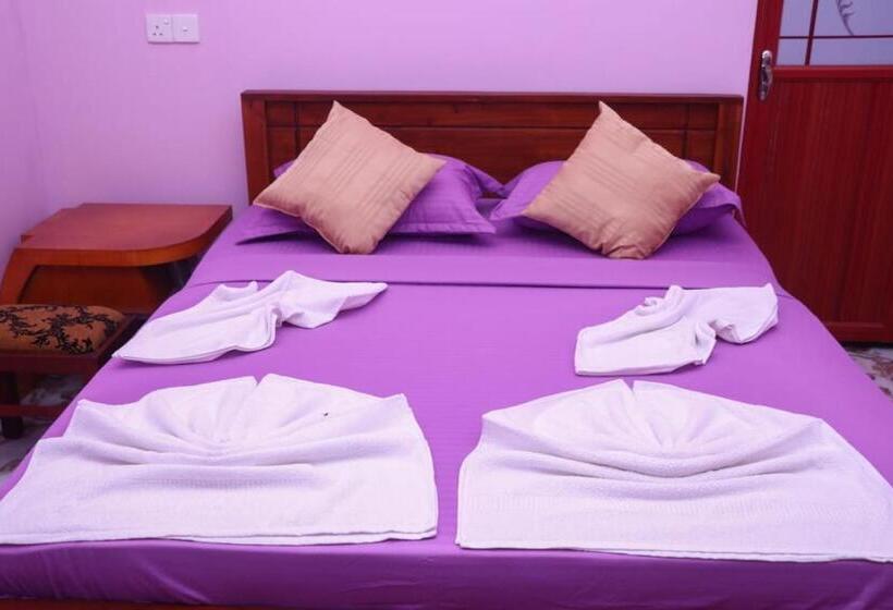 غرفة سوبيريور, Virgin Forest Inn