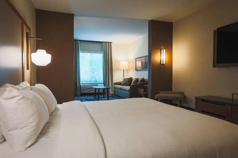 سوئیت با تخت بزرگ, Fairfield Inn & Suites Marquette