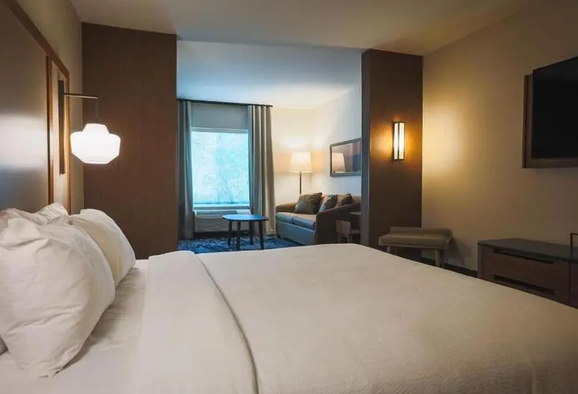 سوئیت با تخت بزرگ, Fairfield Inn & Suites Marquette
