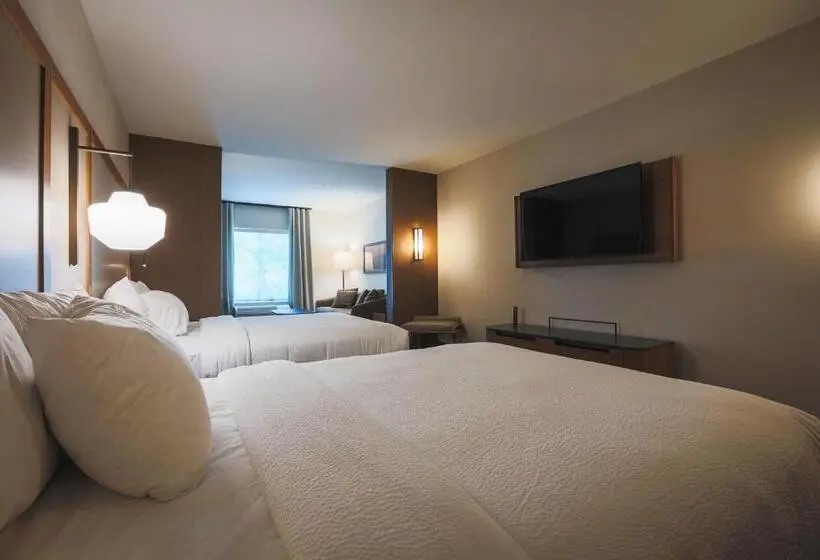 Suite Queen Bed, Fairfield Inn & Suites Marquette