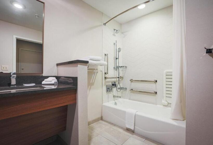 غرفة قياسية سرير ملكى, Fairfield Inn & Suites Marquette