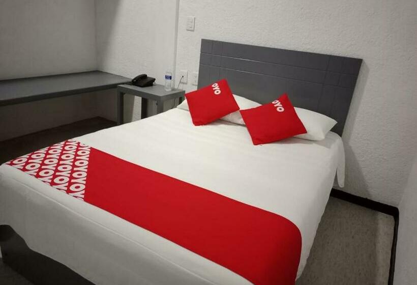 스탠다드 룸, Puerta Sur