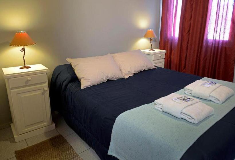 اتاق استاندارد, Willy Hostel