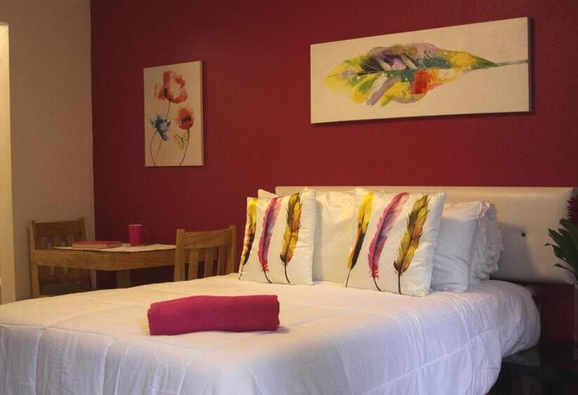 اتاق استاندارد, Super Precio