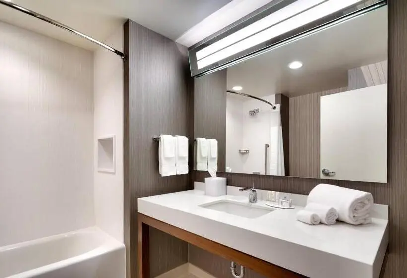 Standard-huone, Courtyard By Marriott Atlanta Duluth Downtown