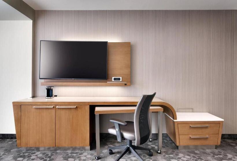 غرفة قياسية سرير كينج لذوى الإحتياجات الخاصة, Courtyard By Marriott Atlanta Duluth Downtown