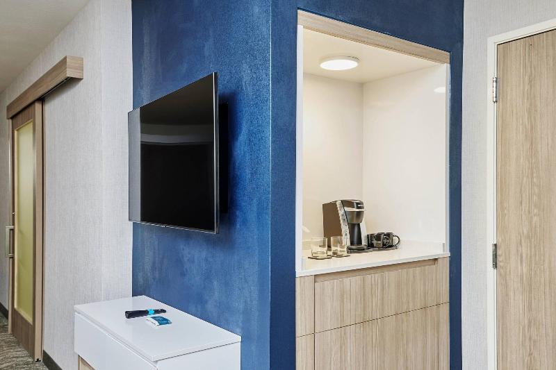 Mozgáskorlátozott Suite, Springhill Suites By Marriott Chicago Chinatown