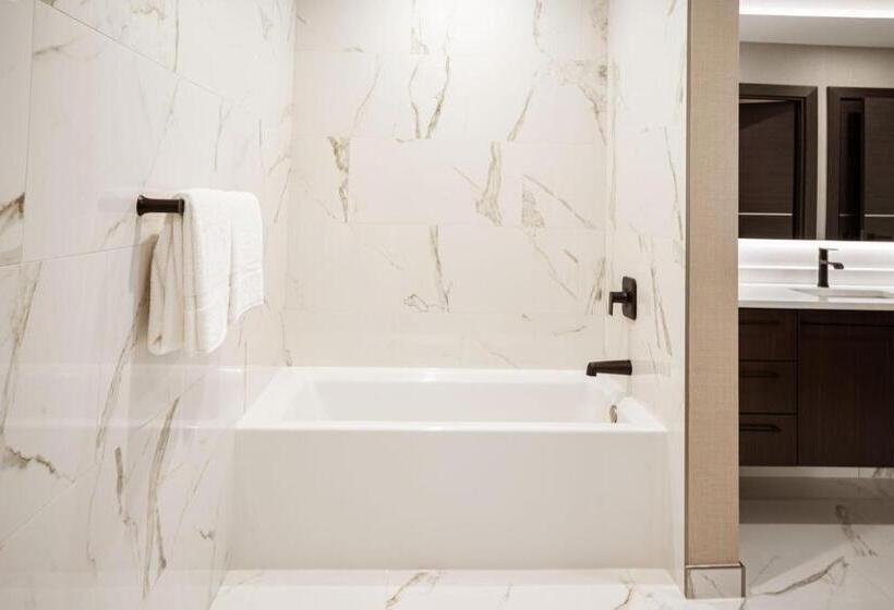 Пентхаус Люкс, Springhill Suites By Marriott Chicago Chinatown