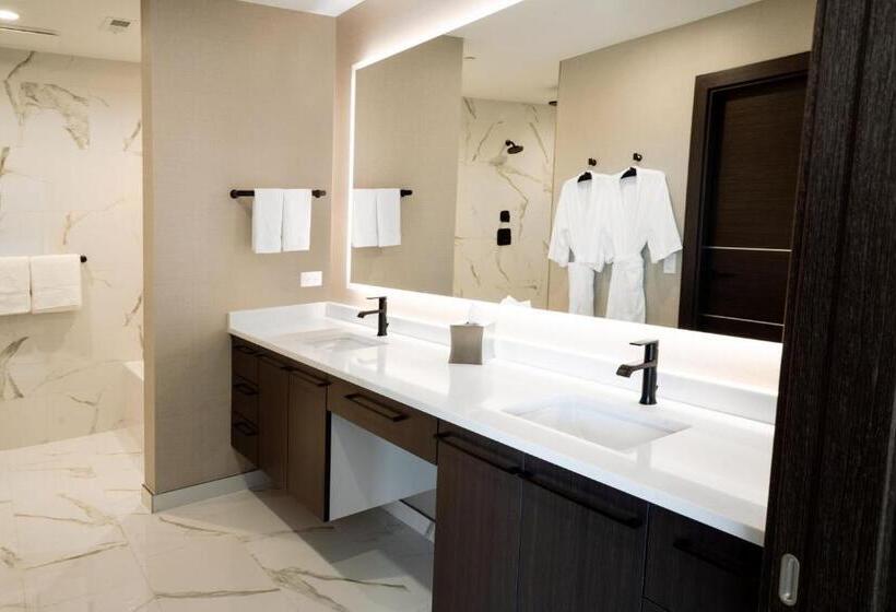 Tetőtéri Lakosztály, Springhill Suites By Marriott Chicago Chinatown