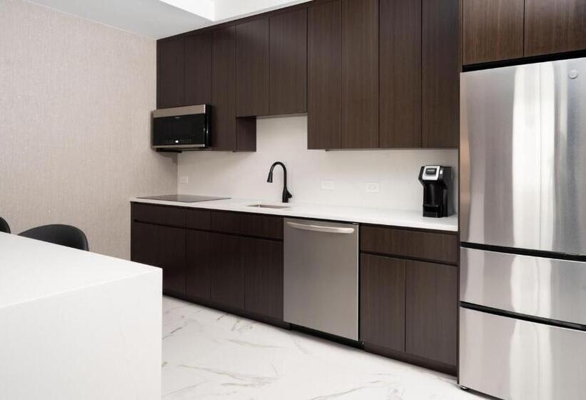 Tetőtéri Lakosztály, Springhill Suites By Marriott Chicago Chinatown