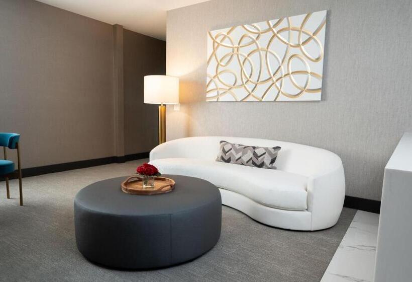 Пентхаус Люкс, Springhill Suites By Marriott Chicago Chinatown