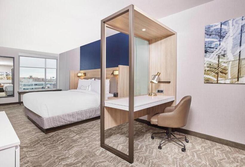 Люкс Адаптированный для Инвалидов, Springhill Suites By Marriott Chicago Chinatown