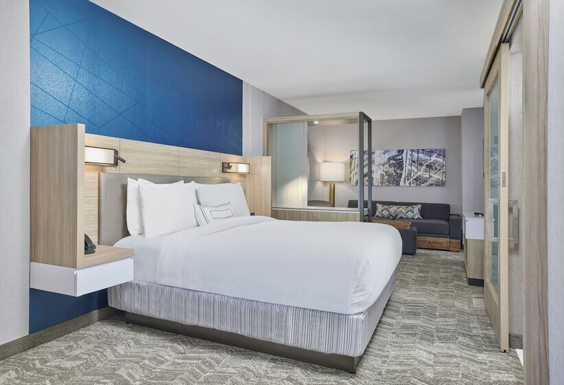 Lakosztály, Springhill Suites By Marriott Chicago Chinatown