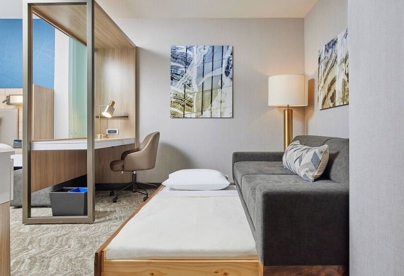 Mozgáskorlátozott Suite, Springhill Suites By Marriott Chicago Chinatown