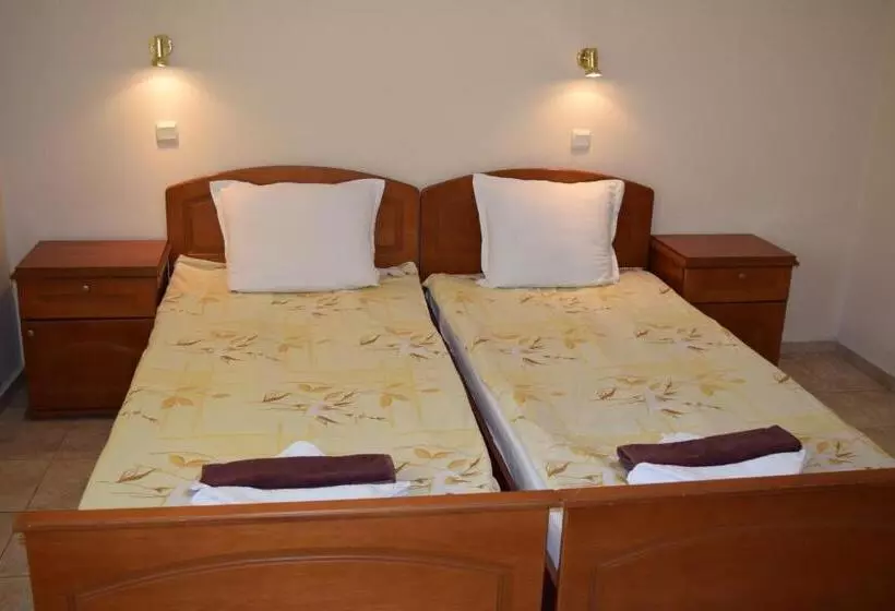 اتاق استاندارد با بالکن, Family Hotel Chris