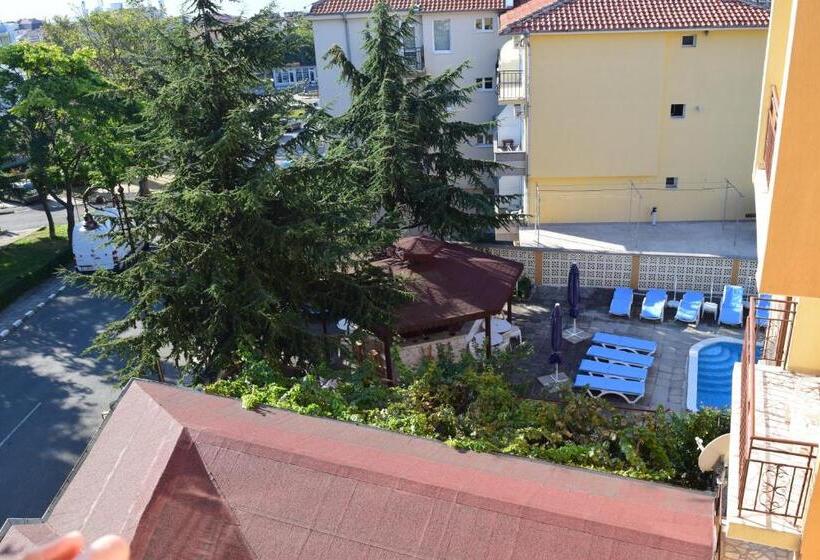 Студио Стандарт Кровать Кинг, Family Hotel Chris
