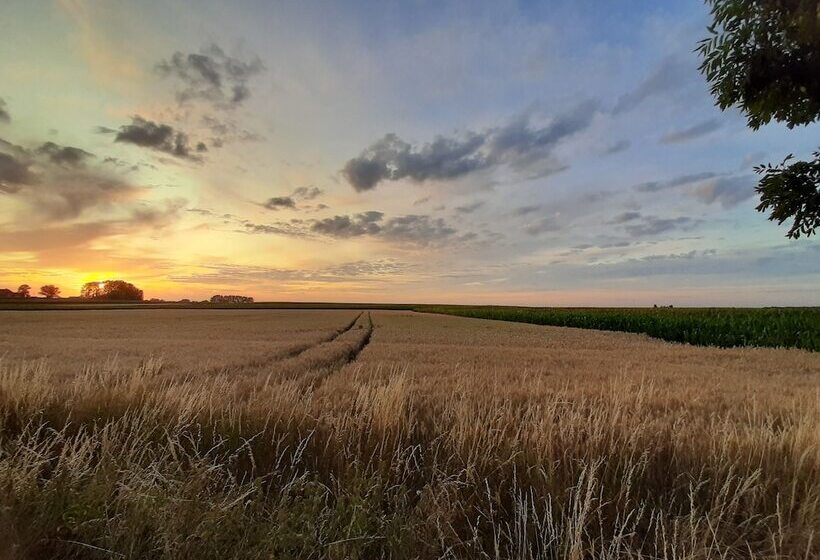 行政房间, Callecanes