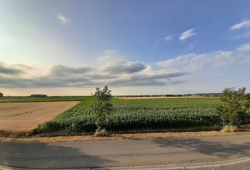 行政房间, Callecanes