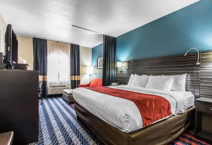 身障者適用スイートルーム, Comfort Suites Fairgrounds West