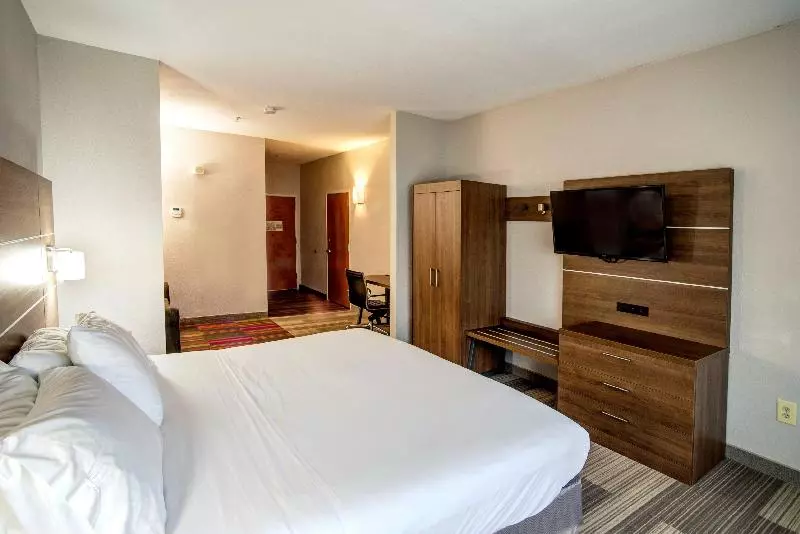 キングサイズベッドのスタンダードルーム, Holiday Inn Express La Plata, An Ihg