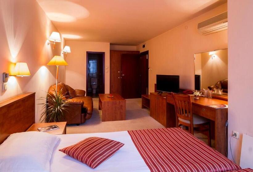 스탠다드 룸, Plaza