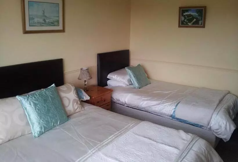 Standard-huone, Tir Na Nog B&b