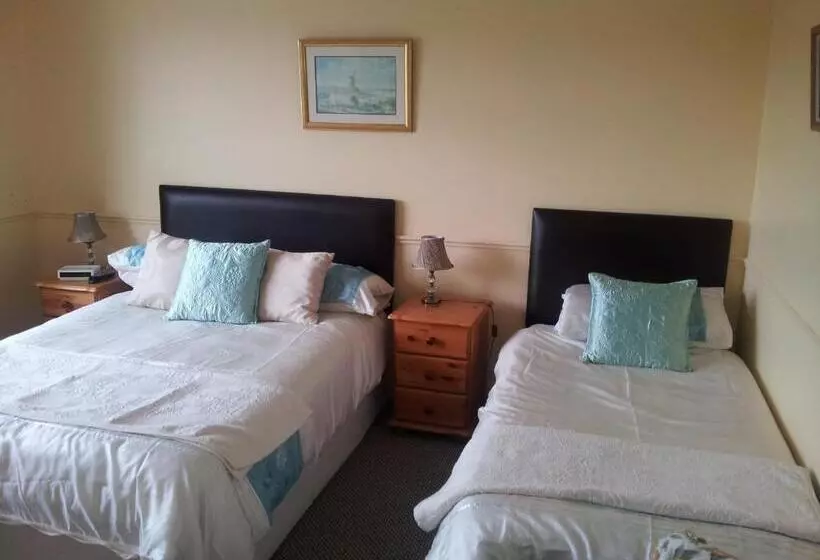 Standard-huone, Tir Na Nog B&b