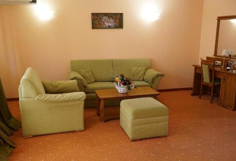 חדר דלוקס יחיד, Troyan Plaza