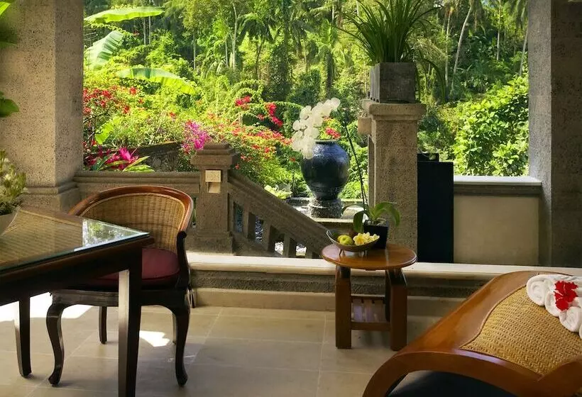 Suite with Pool