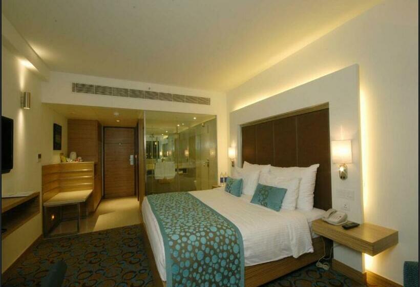 디럭스 룸, Pride Plaza Hotel, Ahmedabad