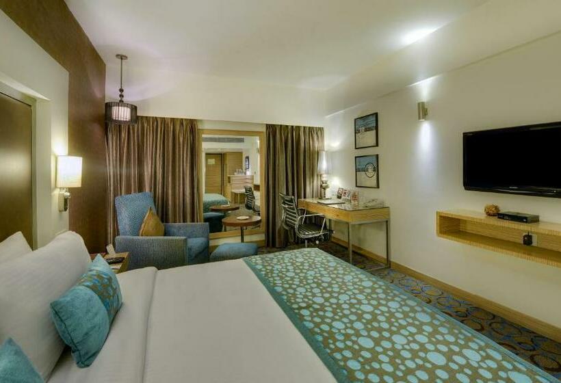 디럭스 룸, Pride Plaza Hotel, Ahmedabad