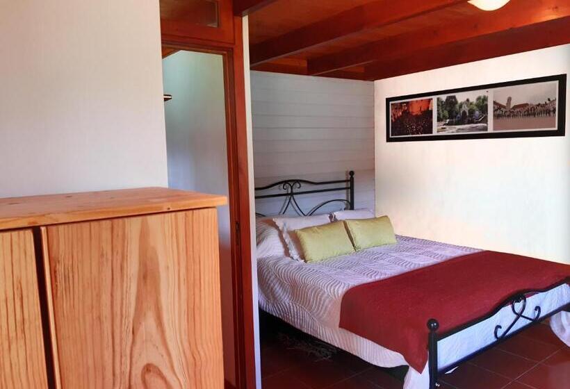 스탠다드 룸, Quinta No Pinhal