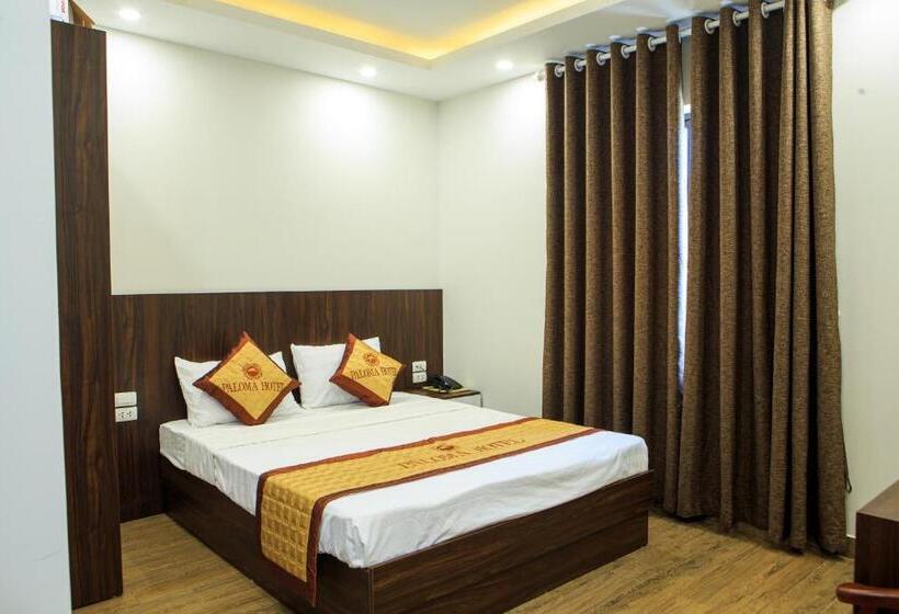 اتاق لوکس, Paloma Hotel & Apartment