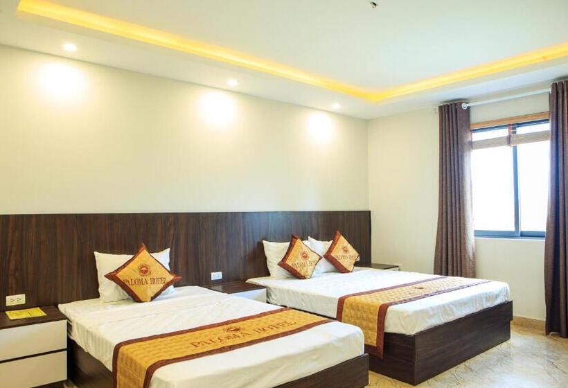 سوییت خانوادگی, Paloma Hotel & Apartment