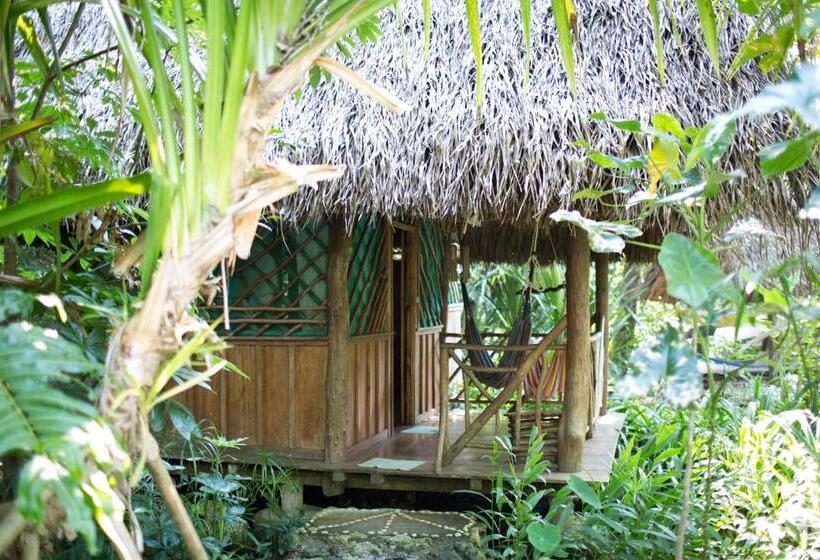 اتاق استاندارد با چشمانداز رودخانه, El Hotelito Perdido