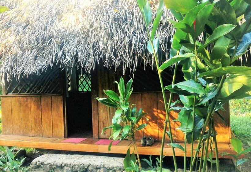 اتاق استاندارد با سرویس بهداشتی مشترک, El Hotelito Perdido