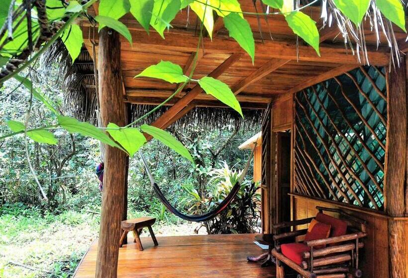 Superior Room with Terrace, El Hotelito Perdido