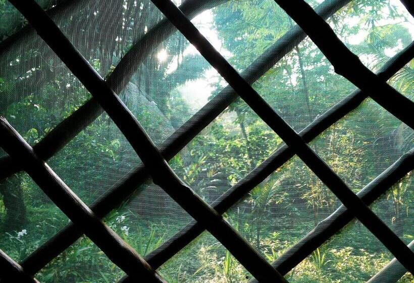 Superior Room with Terrace, El Hotelito Perdido