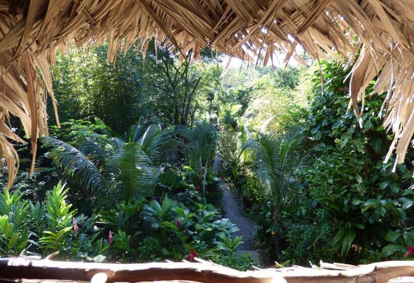 تختخواب در اتاق مشترک, El Hotelito Perdido