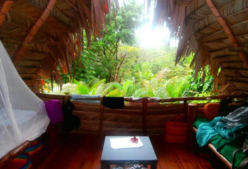 تختخواب در اتاق مشترک, El Hotelito Perdido