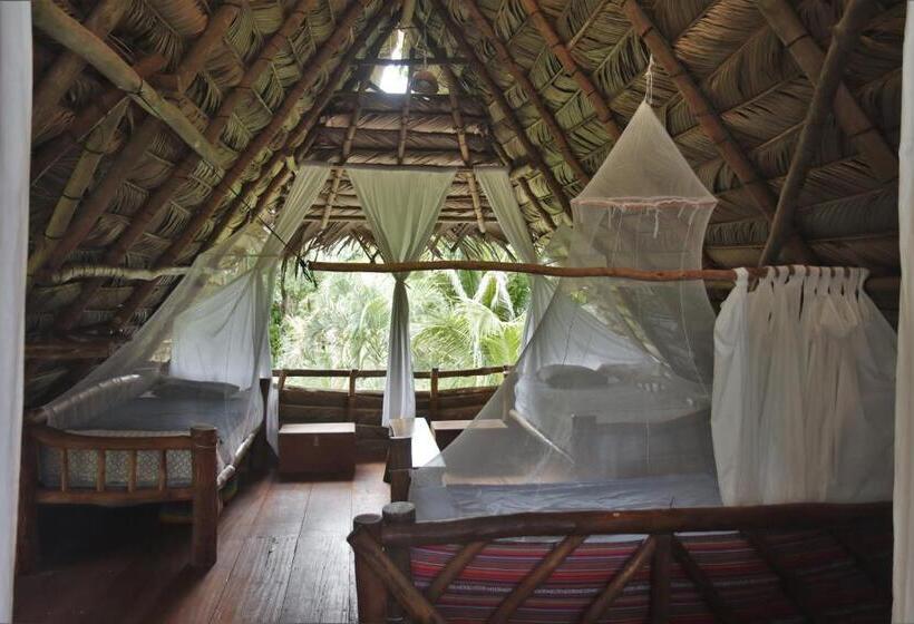 تختخواب در اتاق مشترک, El Hotelito Perdido