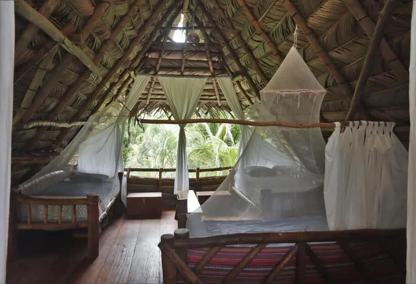 تختخواب در اتاق مشترک, El Hotelito Perdido