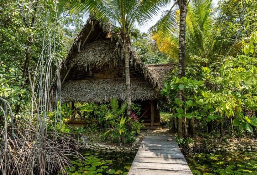 بانگلوی استاندارد, El Hotelito Perdido